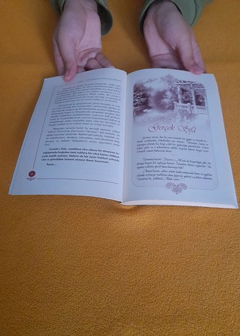 Damladan Deryaya - Görsel 3