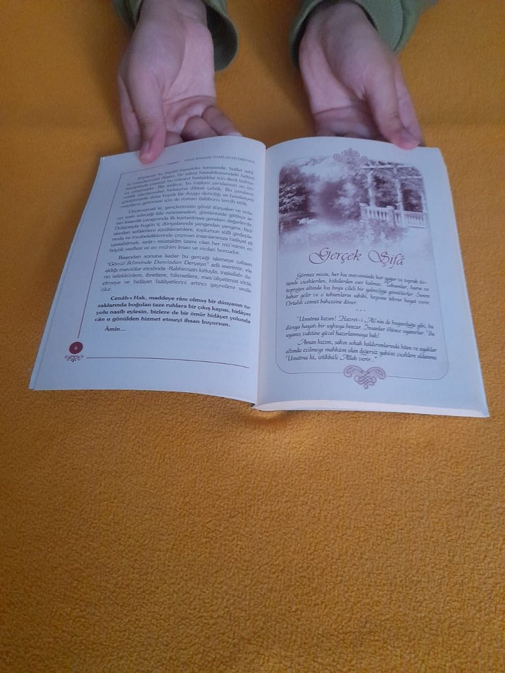 Damladan Deryaya - Görsel 3