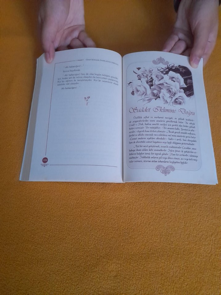 Damladan Deryaya - Görsel 5