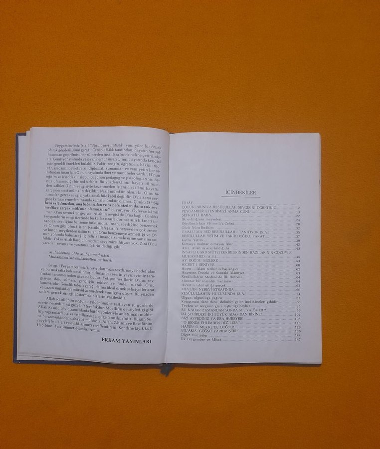 Yavrularımıza Peygamber Sevgisi Kitabı - Görsel 2