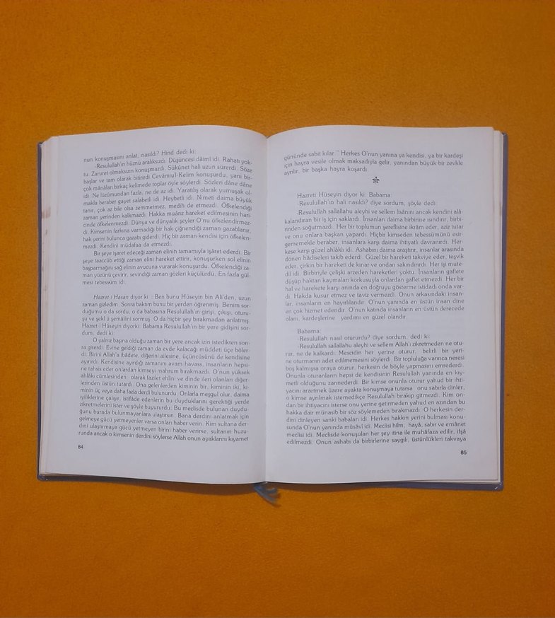 Yavrularımıza Peygamber Sevgisi Kitabı - Görsel 4