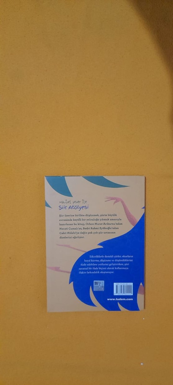 Mavisel Yener ile Şiir Atölyesi Kitabı - Görsel 2