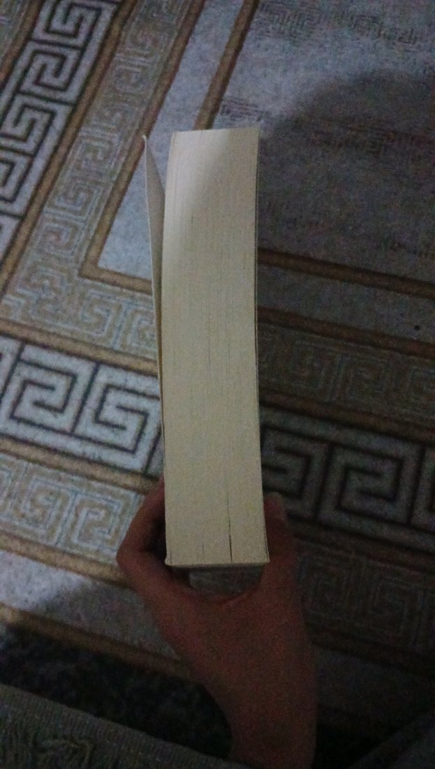 Kahramanmaraş Tarihi Romanı - Görsel 4