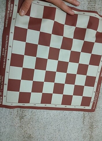 Satranç - Görsel 8