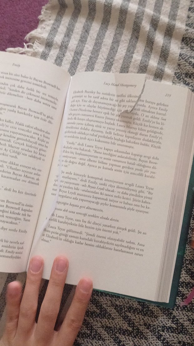 Emily Serisi Roman Seti - L. M. Montgomery - Görsel 5