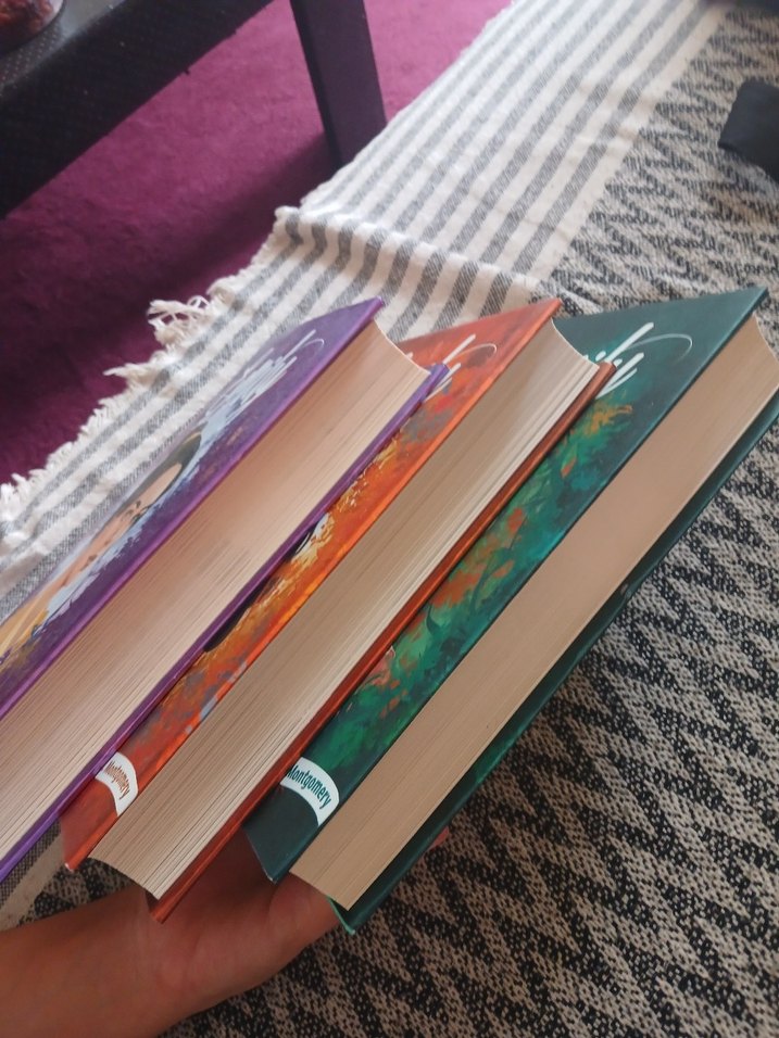 Emily Serisi Roman Seti - L. M. Montgomery - Görsel 4