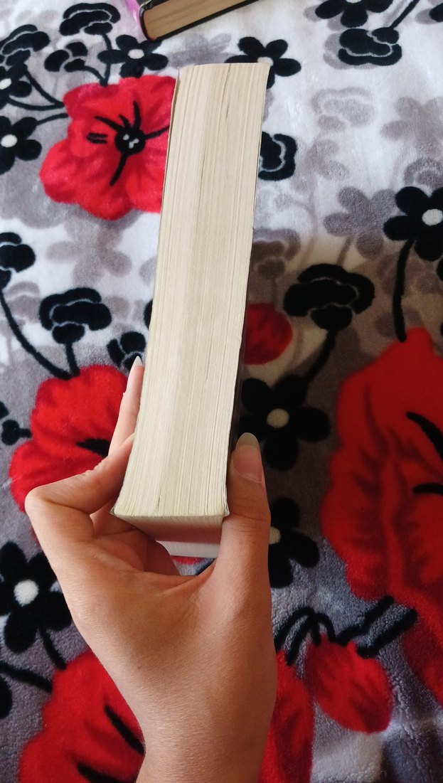 İyilik ve Kötülük Okulu - Soman Chainani - Görsel 4