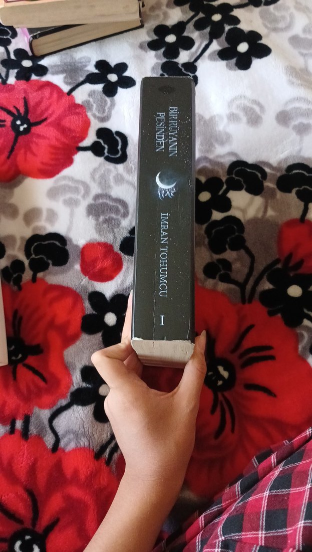 İmran Tohumcu İki Roman Seti - Görsel 2