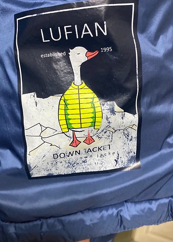 Erkek Mavi Fermuarlı İnce Mont - Görsel 5