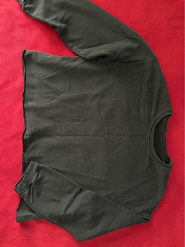 Diğer Cropp