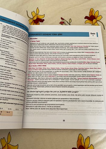  Mezun Edebiyat AYT Konu Anlatımlı Kitap