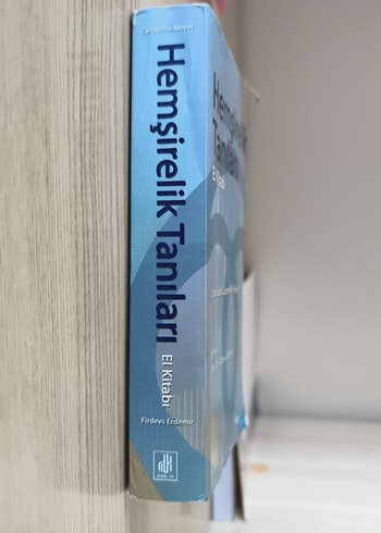 Beden Renk Hemşirelik Tanıları El Kitabı