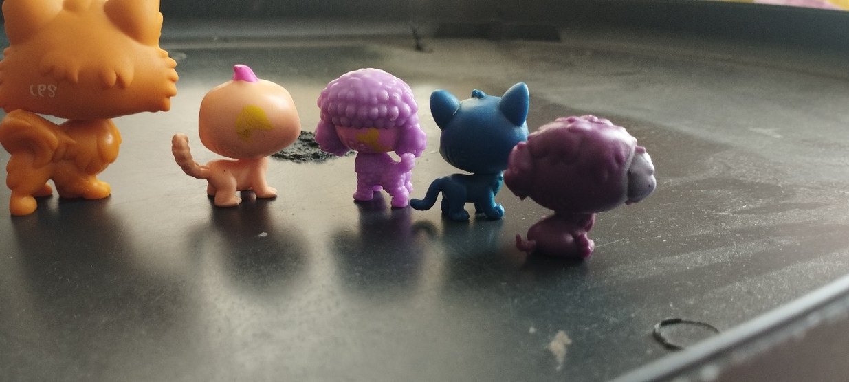 Lps miniş -Minişler - Görsel 3