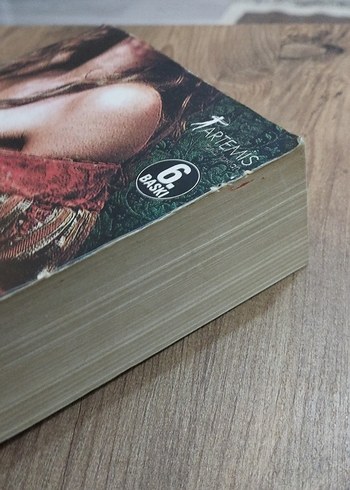 Kraliçenin Soytarısı - Philippa Gregory - Görsel 6