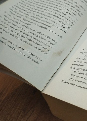 Tarihi Roman :Düşes, Boleyn Kızı, Narbanu, Kraliçenin Soytarısı - Görsel 8