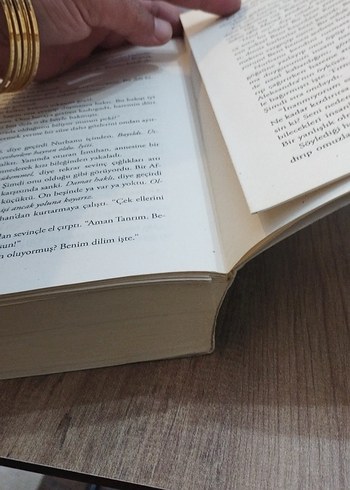 Tarihi Roman :Düşes, Boleyn Kızı, Narbanu, Kraliçenin Soytarısı - Görsel 10