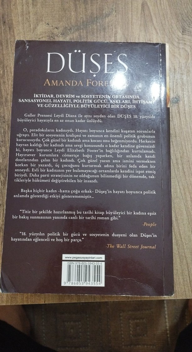 Tarihi Roman :Düşes, Boleyn Kızı, Narbanu, Kraliçenin Soytarısı - Görsel 4