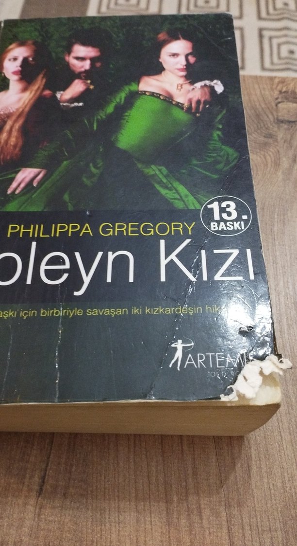 Tarihi Roman :Düşes, Boleyn Kızı, Narbanu, Kraliçenin Soytarısı - Görsel 5