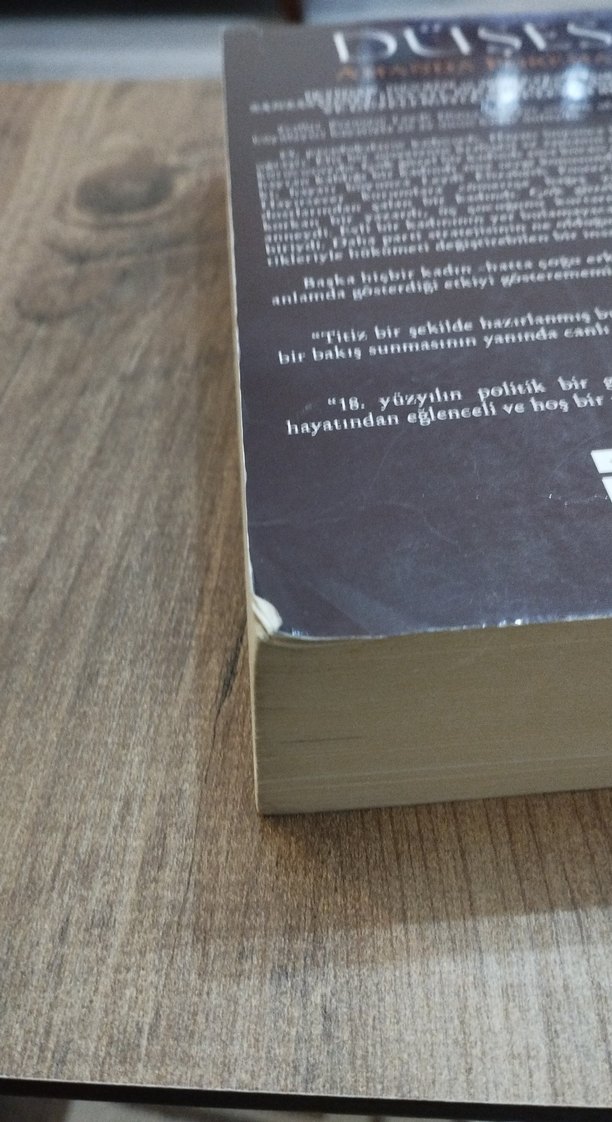 Düşes - Amanda Foreman - Görsel 3