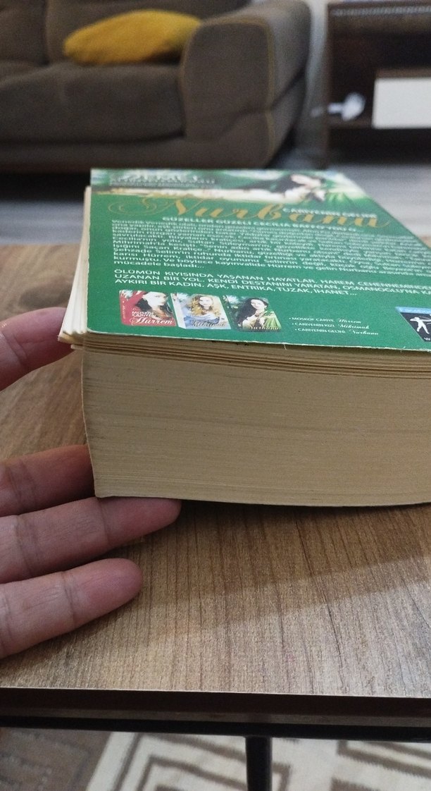 Cariyenin Gelini Nurbanu - Demet Altınyeleklioğlu - Görsel 3