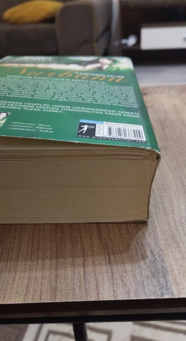 Cariyenin Gelini Nurbanu - Demet Altınyeleklioğlu - Görsel 5