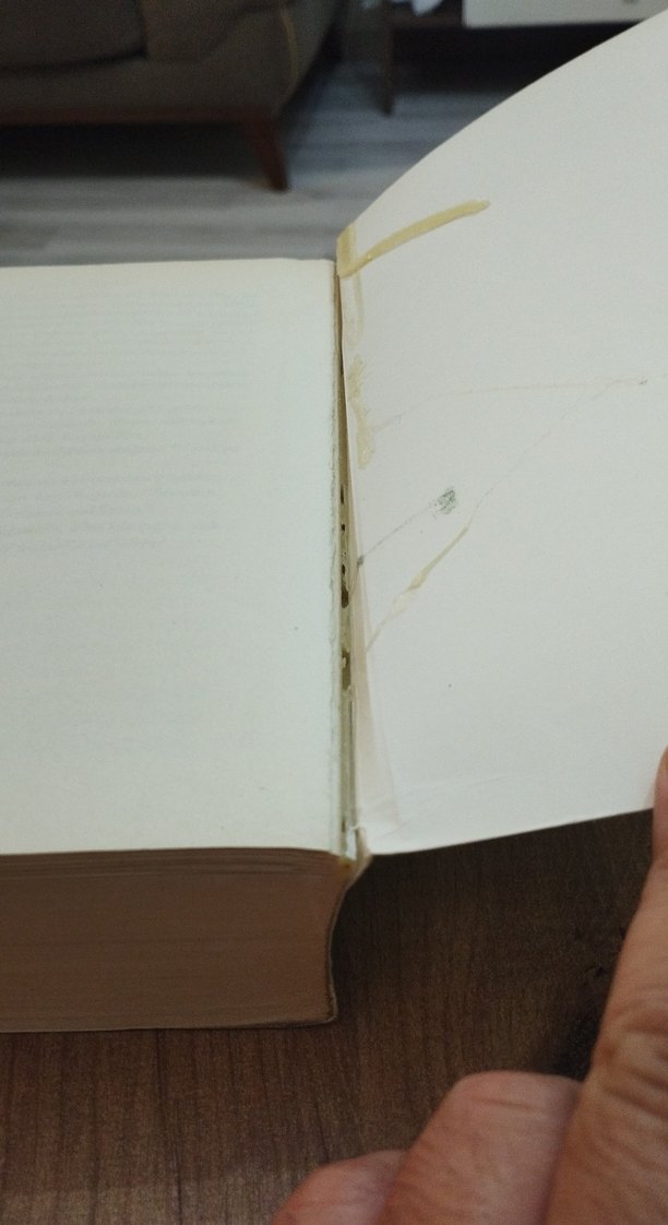 Cariyenin Gelini Nurbanu - Demet Altınyeleklioğlu - Görsel 4