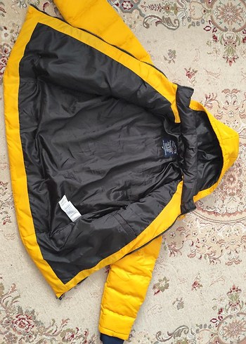 Sarı Kapüşonlu erkek  Mont - Görsel 3