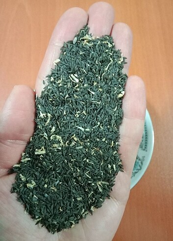 Kıvırcık Marul Ata Tohumu