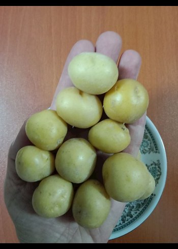 Beden beyaz Renk Yerli Taze Bebek Patates