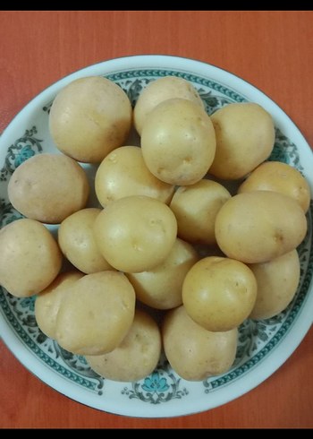 Beden Yerli Taze Bebek Patates