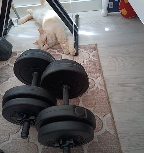  Dumbbell set