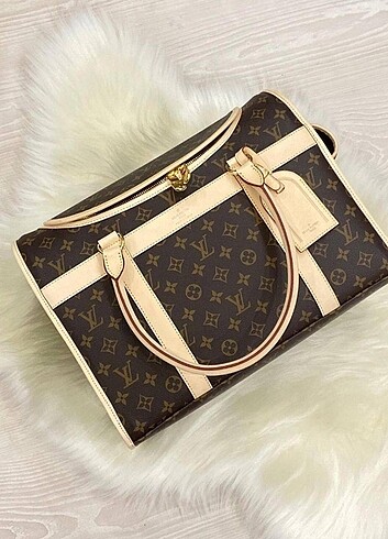 Louis Vuitton Louis Vuitton Dog Carrier 40
