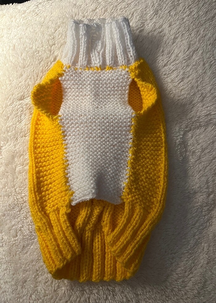 Kedi köpek kazak - Görsel 3