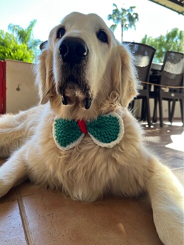  Köpek yılbaşı temalı papyon