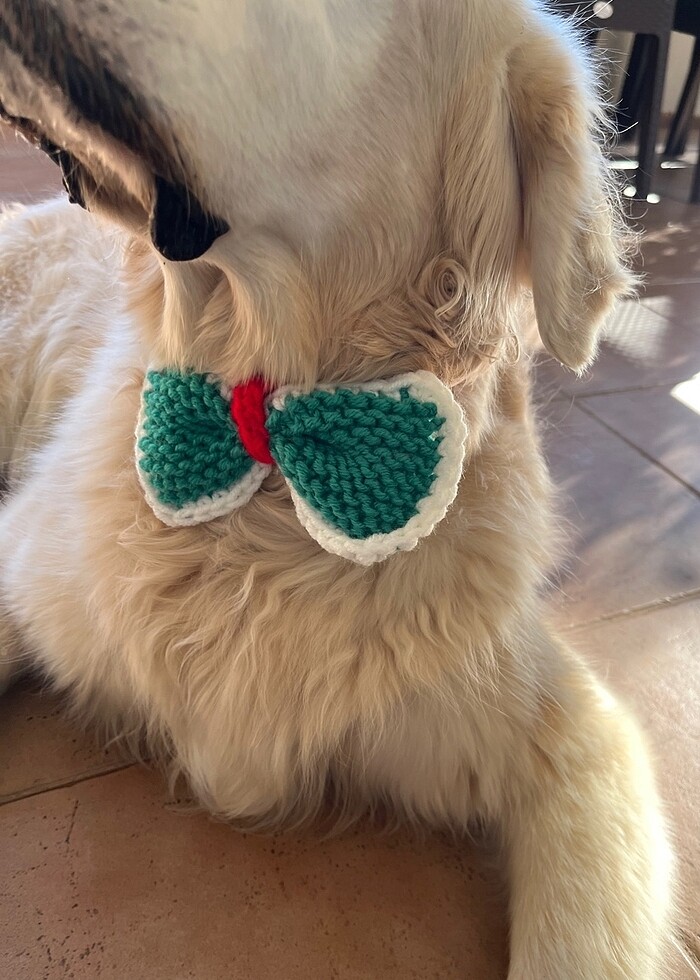 Köpek yılbaşı temalı papyon - Görsel 3