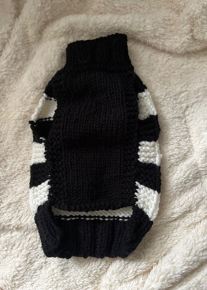 Küçük ırk köpek kazak - Görsel 2