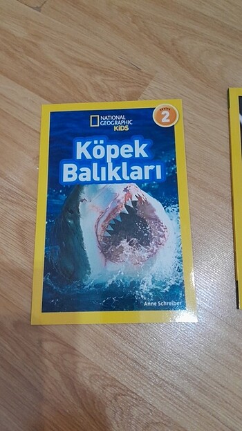  Beden Belgesel kitap
