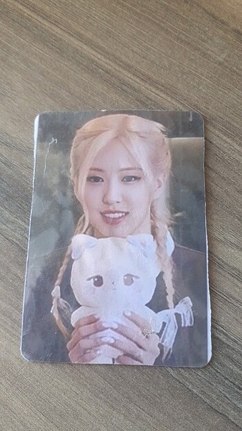 Rosé peluş oyuncak pc