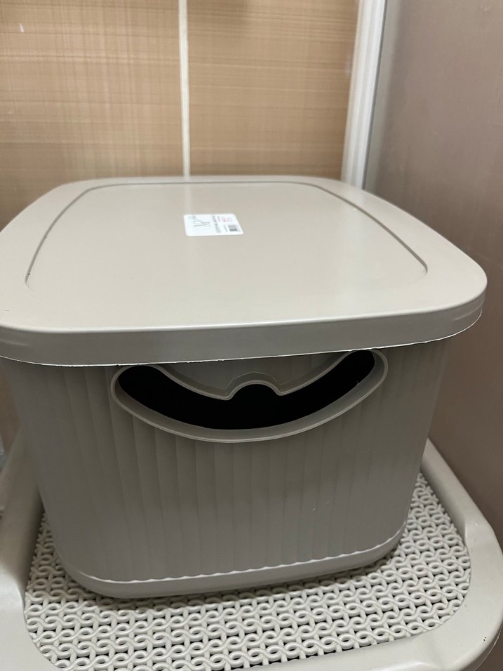 Bej Gri Kapaklı Saklama Kutusu - Görsel 3