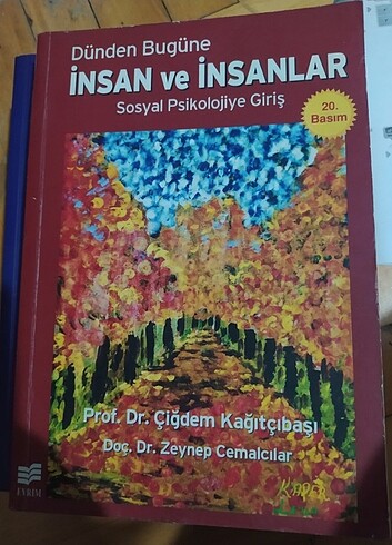 İnsan ve insanlar