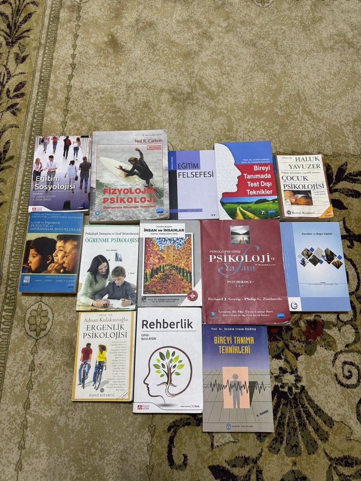 Çeşitli Psikoloji, Felsefe ve Rehberlik Kitapları - Görsel 3
