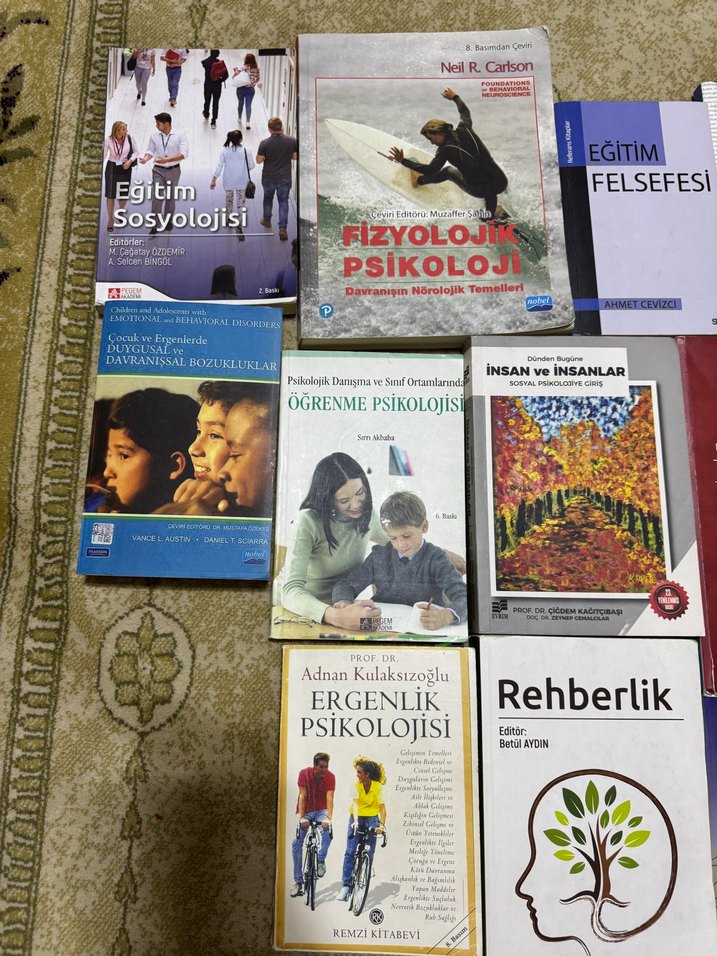 Çeşitli Psikoloji, Felsefe ve Rehberlik Kitapları - Görsel 4