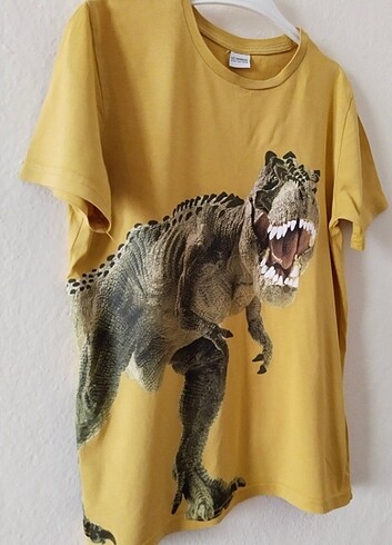 LC Waikiki T-shirt