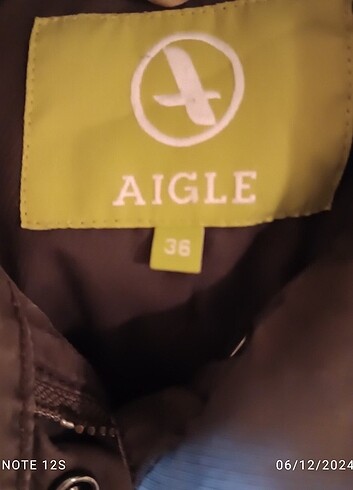 Aigle Aıgle