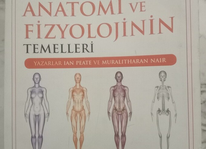 Anatomi 