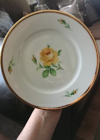 Diğer Dresden pasta tabagı