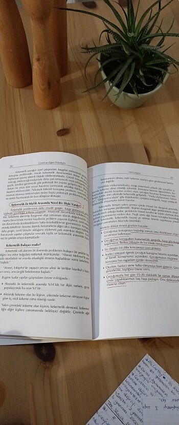  Kitap 