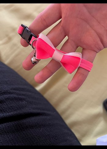 Gri Kedi Tüy Tarağı - Görsel 3