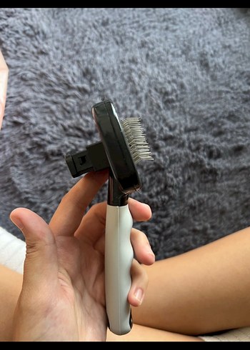 Gri Kedi Tüy Tarağı - Görsel 2