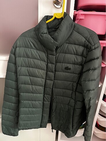 Lacoste Haki Mont